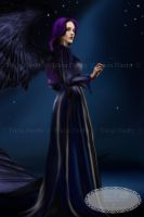 Midnight Angel